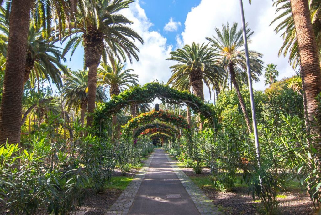 Porque García Tenerife